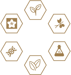 广东会·(中国区)有限公司官网