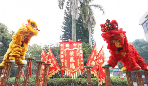 龙腾狮跃，共铸鲜丽将来！